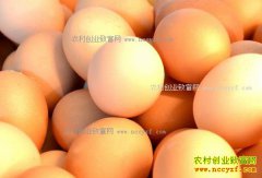 �������ݼ����۸�������������