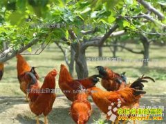 �㽭�ٰ����ƹ��������ֳ�Ʋʼ���ҵ�¸�