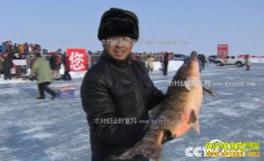 [�¸���]�½������Լ��ζ��������������뷴��