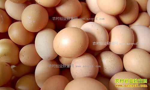 ɽ�������۸����2.5Ԫ ר��Ԥ����һǰ���ۻ���