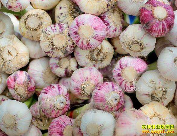 ��������۸��²��� äĿ������ֲ����������