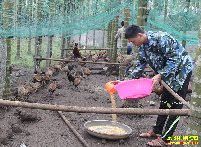 ���ϰ���90����������ֳ�߲�ɽ�������¸���