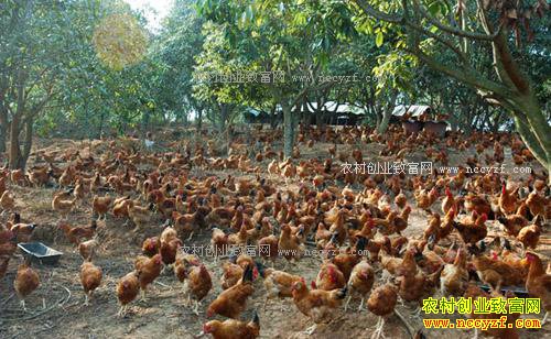 ���໪ͤ������ܺ�ΰ�������������������¸�·