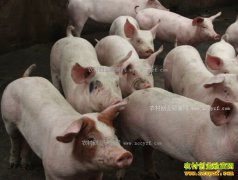 ������ˮ�����ġ���¼���������¸���