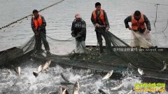 �Ĵ�ͨ���ء���������־��һĶˮ�����������