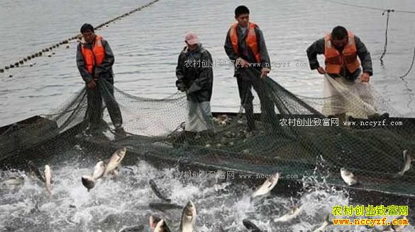 �Ĵ�ͨ���ء���������־��һĶˮ�����������