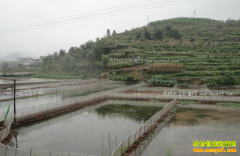 �Ĵ��������ȫ����ũ���������������¸�·