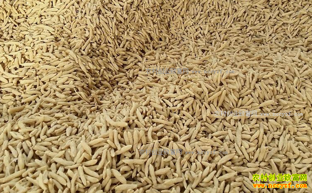 2018�������󶬼۸�