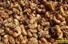 2017����ɼ۸�����Ԥ�⣺���ɼ۸���������