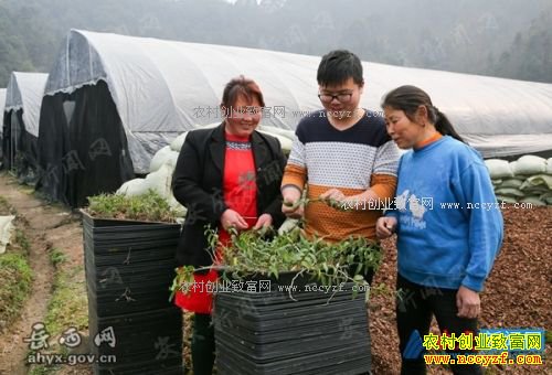 ��������90���־ΰ��ʯ������80�໧���������¸�