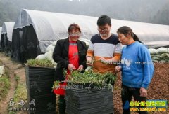 ��������90���־ΰ��ʯ������80�໧���������¸�