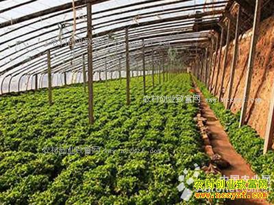 ������������־������ֲ�����10��