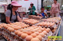 ���ݼ����۸�����Ԥ�⣺���������۸�һ·���� �Ի��µ�