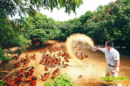 �����������������߸߶˲��弦���۸���ˮ��