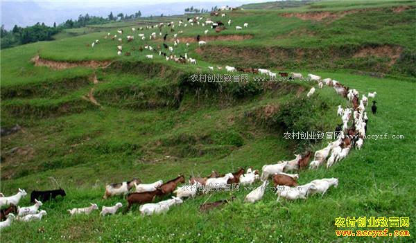 ��������תҵ������������԰���� ����Ȧ������һ��