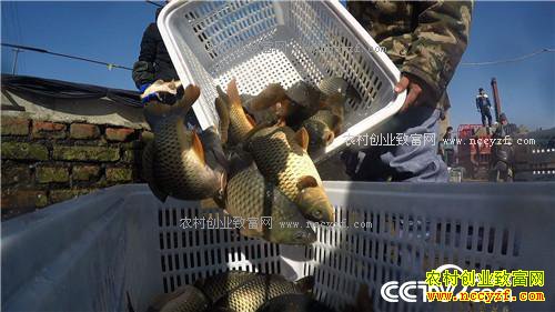 ���˾����Ĵ����δ���ǧ���(20170306)