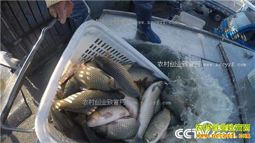 ���˾����Ĵ����δ���ǧ���(20170306)