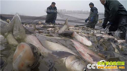 ���˾����Ĵ����δ���ǧ���(20170306)