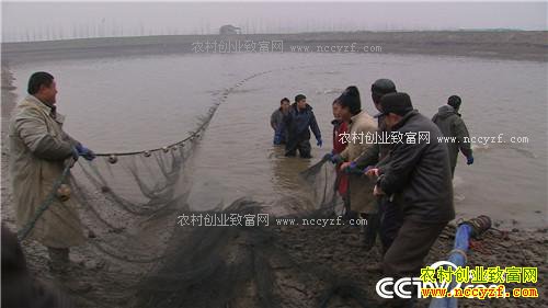 ���˾����Ĵ����δ���ǧ���(20170306)