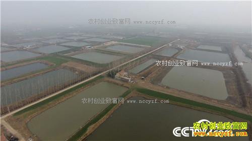 ���˾����Ĵ����δ���ǧ���(20170306)