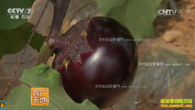 [ũ�����]�������Ӵ���ǰ���༼�� 20170306