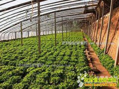 ������������־������ֲ�����10��