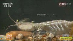 [ÿ��ũ��]������ɽ��Ϻ���ѿ�������