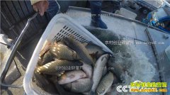 [�¸���]���˾����Ĵ�Ӵ���ǧ��� ɽ����ׯ�����������¸���Ƶ