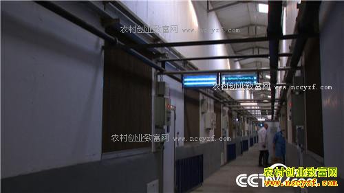 ���⺺�����и��� ���໹��׬ǧ��(02170307)