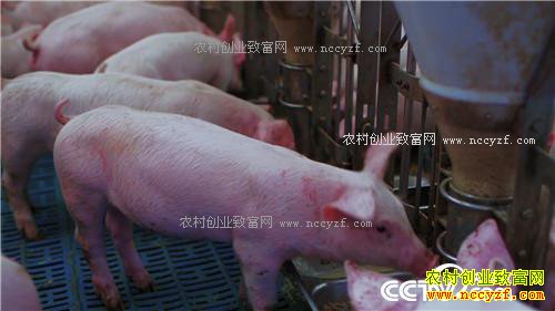 ���⺺�����и��� ���໹��׬ǧ��(02170307)