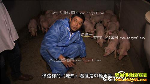 �¸��������⺺�����и��� ���໹��׬ǧ�� 3��7��