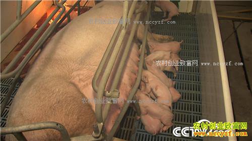 ���⺺�����и��� ���໹��׬ǧ��(02170307)