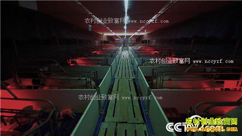 ���⺺�����и��� ���໹��׬ǧ��(02170307)