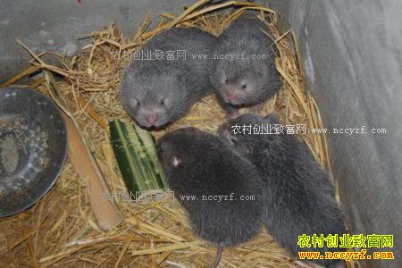 [ũ�����]����ҽ�������� �����������ﲨ�������¸���Ƶ