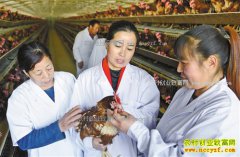 ���ɹš��������ˡ������������ũ�¸�