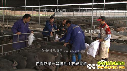 �����ڵ����˿���200��� ���������Ԫ(��)(20170309)