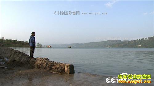 �����ڵ����˿���200��� ���������Ԫ(��)(20170309)