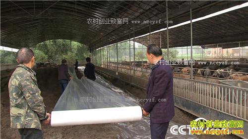 �����ڵ����˿���200��� ���������Ԫ(��)(20170309)