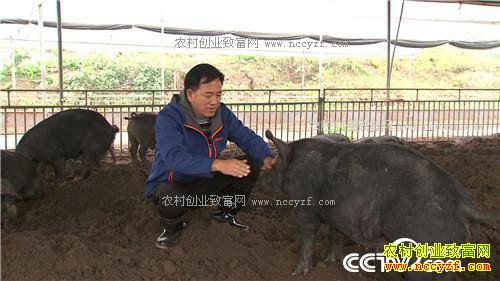 �����ڵ����˿���200��� ���������Ԫ(��)(20170309)