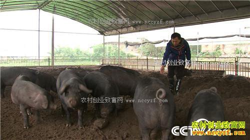 �����ڵ����˿���200��� ���������Ԫ(��)(20170309)