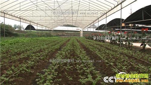 �����ڵ����˿���200��� ���������Ԫ(��)(20170309)