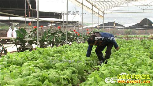 �����ڵ����˿���200��� ���������Ԫ(��)(20170309)