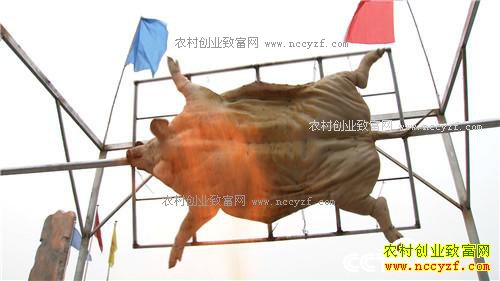 �����ڵ����˿���200��� ���������Ԫ(��)(20170309)