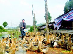 �Ĵ����������顢��������������Ѽһ�����������