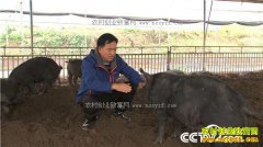 [�¸���]���츢�������ֳ�������������Ԫ���ϣ�