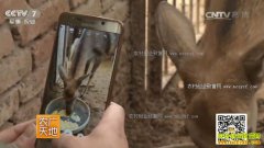 [ũ�����]������Ĳ����������ֳ÷��¹����200����Ԫ