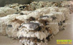 �ӱ�κ��̡��Ƥ�۸�����