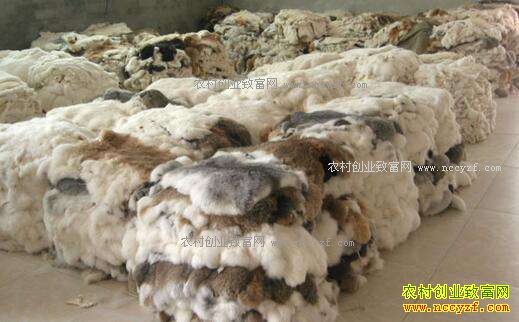 �ӱ�κ��̡��Ƥ�۸�����