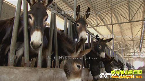 ��С������¿ �������ǧ��(20170310)