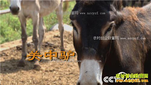 ��С������¿ �������ǧ��(20170310)